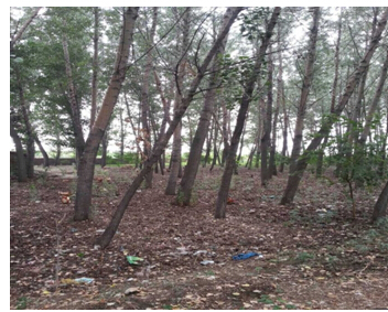 1̖ ��ɽ��ǧɽ�^(q��)���h�(zh��n)�O���´弯�w����ʹ�Ù�