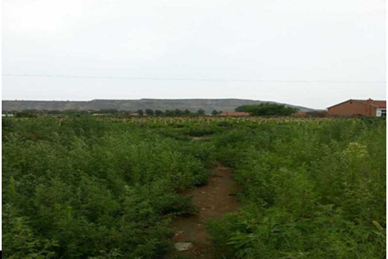 31̖ ��ɽ��ǧɽ�^(q��)�Ƽҷ��(zh��n)�W(xu��)����C(j��)��(d��ng)����ʹ�Ù�(qu��n)